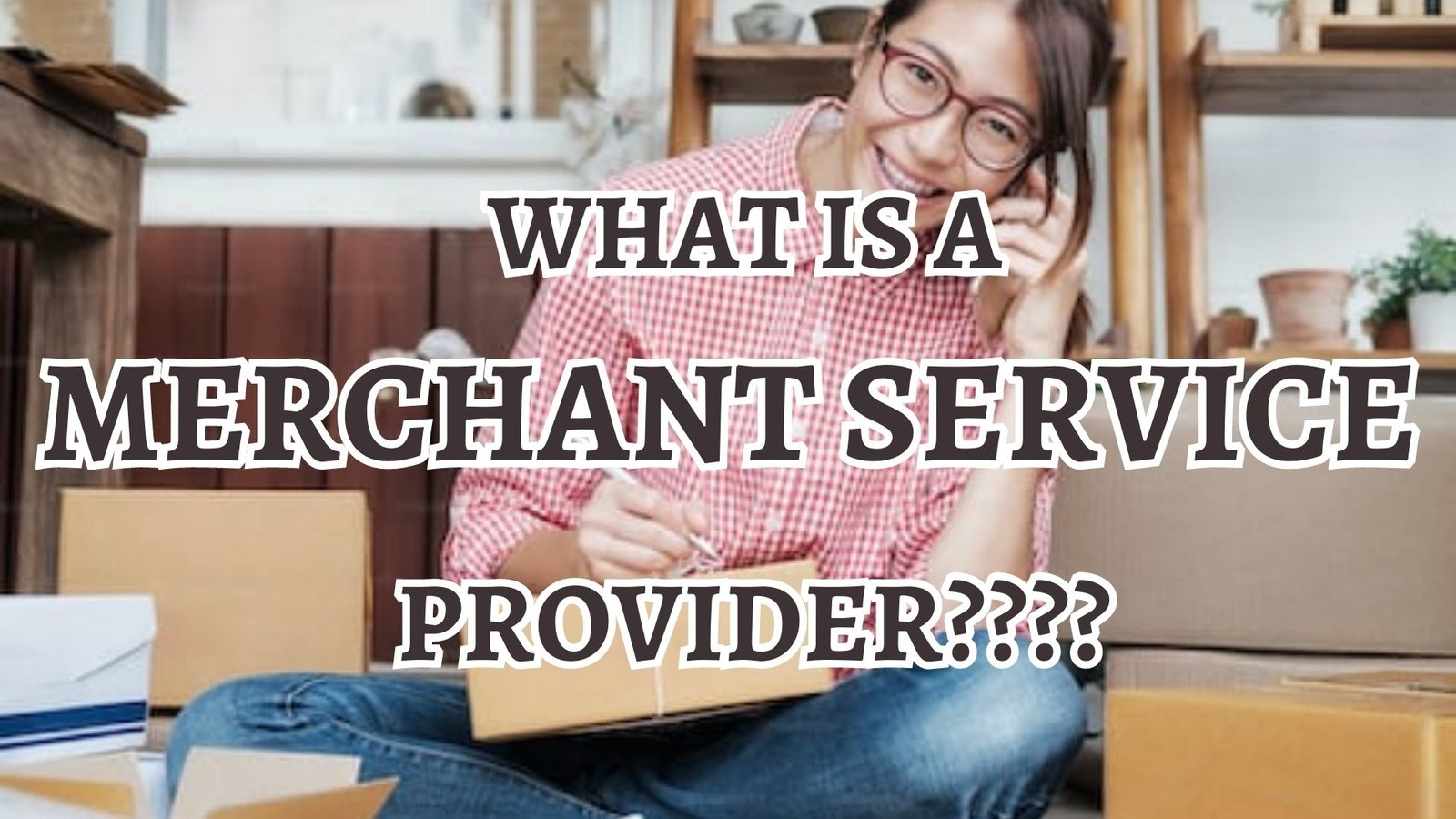 What is a Merchant Service Provider? Payless Merchant Solutions